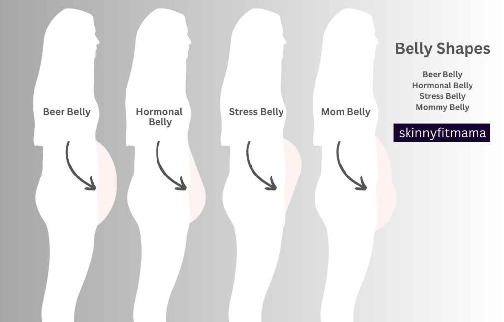 6 Types Of Belly Fat: Shapes & What They Mean - Skinny Fit Mama