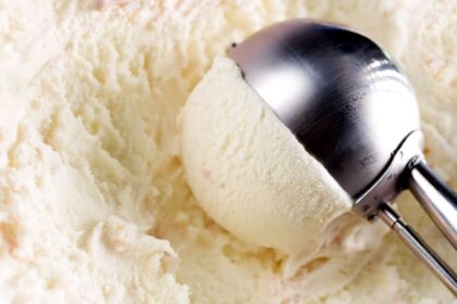 Vanilla Cottage Cheese Ice Cream